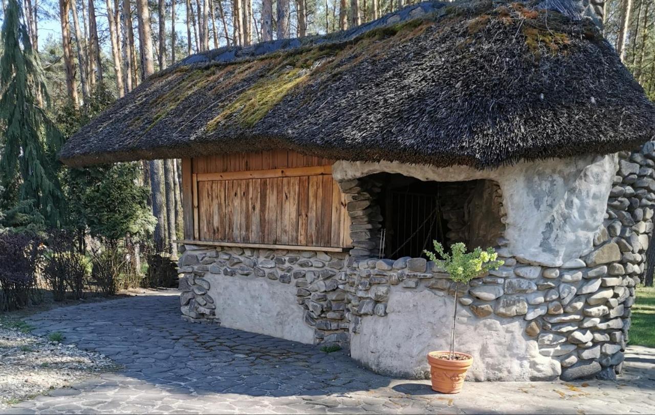 Noclegi Pod Borem Kepno Extérieur photo